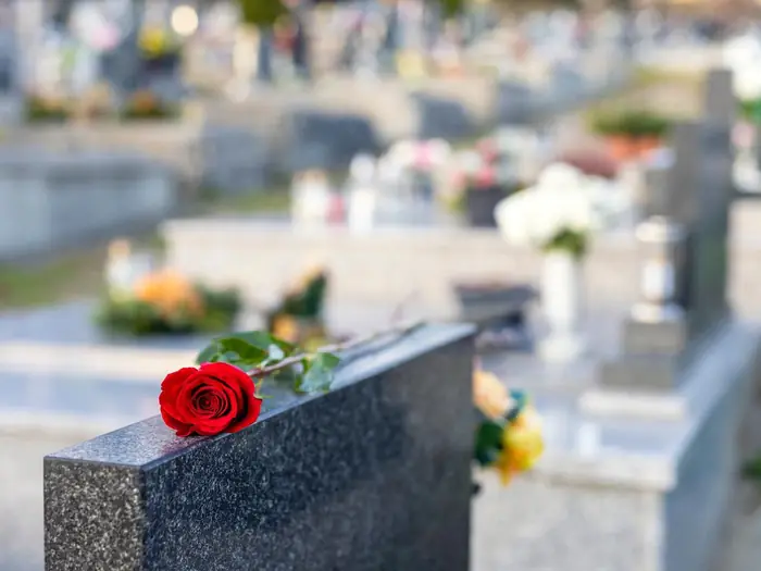 Rote Rose auf einem Grabstein, dahinter ein Friedhof mit Blumenschmuck