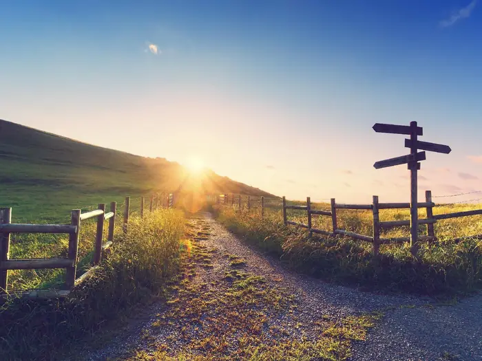 Wegweiser an einem Feldweg, der bei Sonnenaufgang über einen Hügel führt