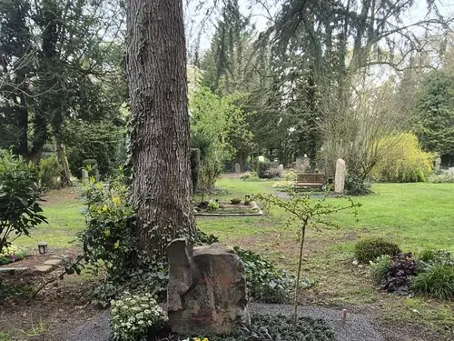 Moosbewachsener Baumstumpf als Gedenkstätte auf einem Friedhof, mit Steinen und Blumen