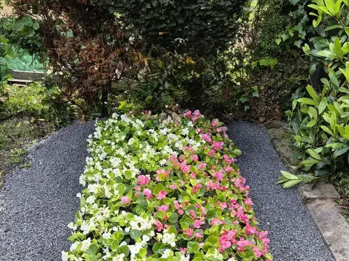 Kiesweg mit einem rechteckigen Blumenbeet mit rosa, gelben und weißen Blüten neben üppigen grünen Hecken