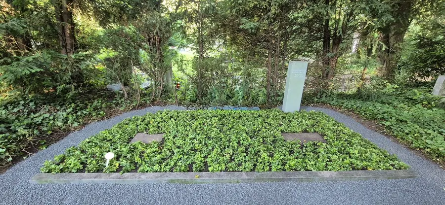 Bodendeckend bepflanzte Grabstätte mit schmaler Stele in einem baumbestandenen Friedhofsbereich
