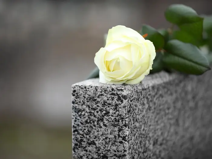 Weiße Rose liegt auf der Kante eines hellen Granitgrabsteins